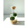 Marimo 2x