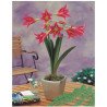 Amaryllis Estella (25958133)
