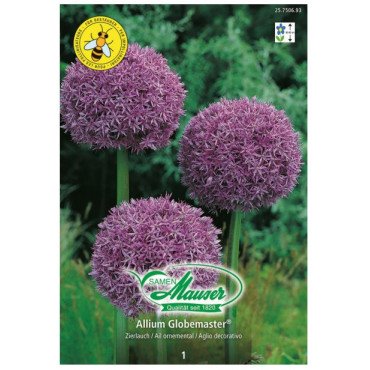 Allium géant Globemaster, 1 bulbe (25750693)