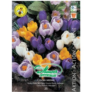 Crocus Pluto, mélange, Action 25 bulbes (25739698)