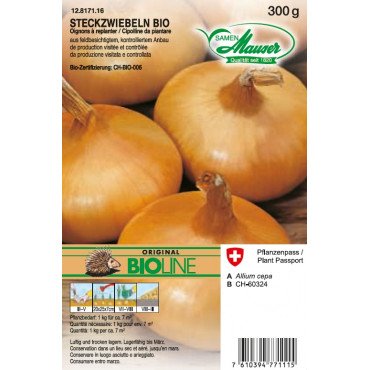 BIO Steckzwiebel Gelbe (12817116) (Samen)