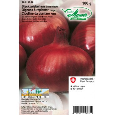 Oignon &agrave; replanter Rouge du pays (10819046)(semence)