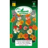 Pavot de Californie mélange (20239004) (semence)