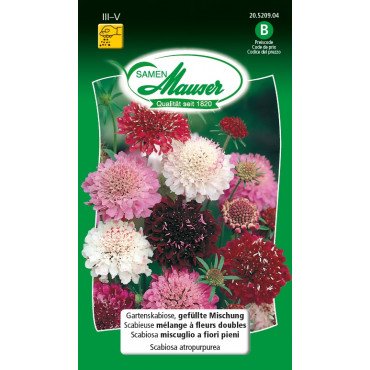 Gartenskabiose Elite Mischung (20520904) (Samen)