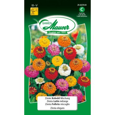 Zinnie Kobold Mischung (20663904) (Samen)