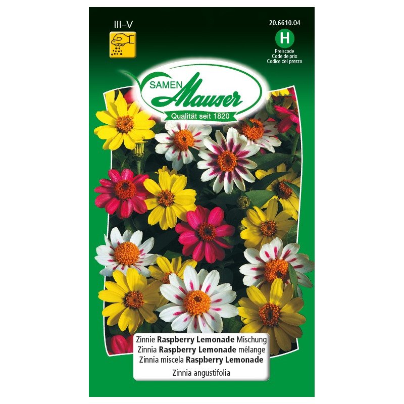 Zinnia Rasberry Lemonade Mischung (20661004) Kaufen /
