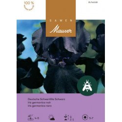 Iris germanica schwarz, 2 Knollen 25746383