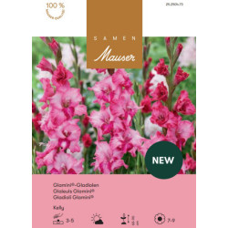 Gladiole Glamini Kelly (25250473)
