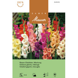 Gla&iuml;euls M&eacute;lange grossbl&uuml;tig (25294793)