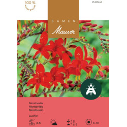 Montbr&eacute;tia Lucifer (25305643)