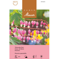 Dicentra spectabilis (25442633)